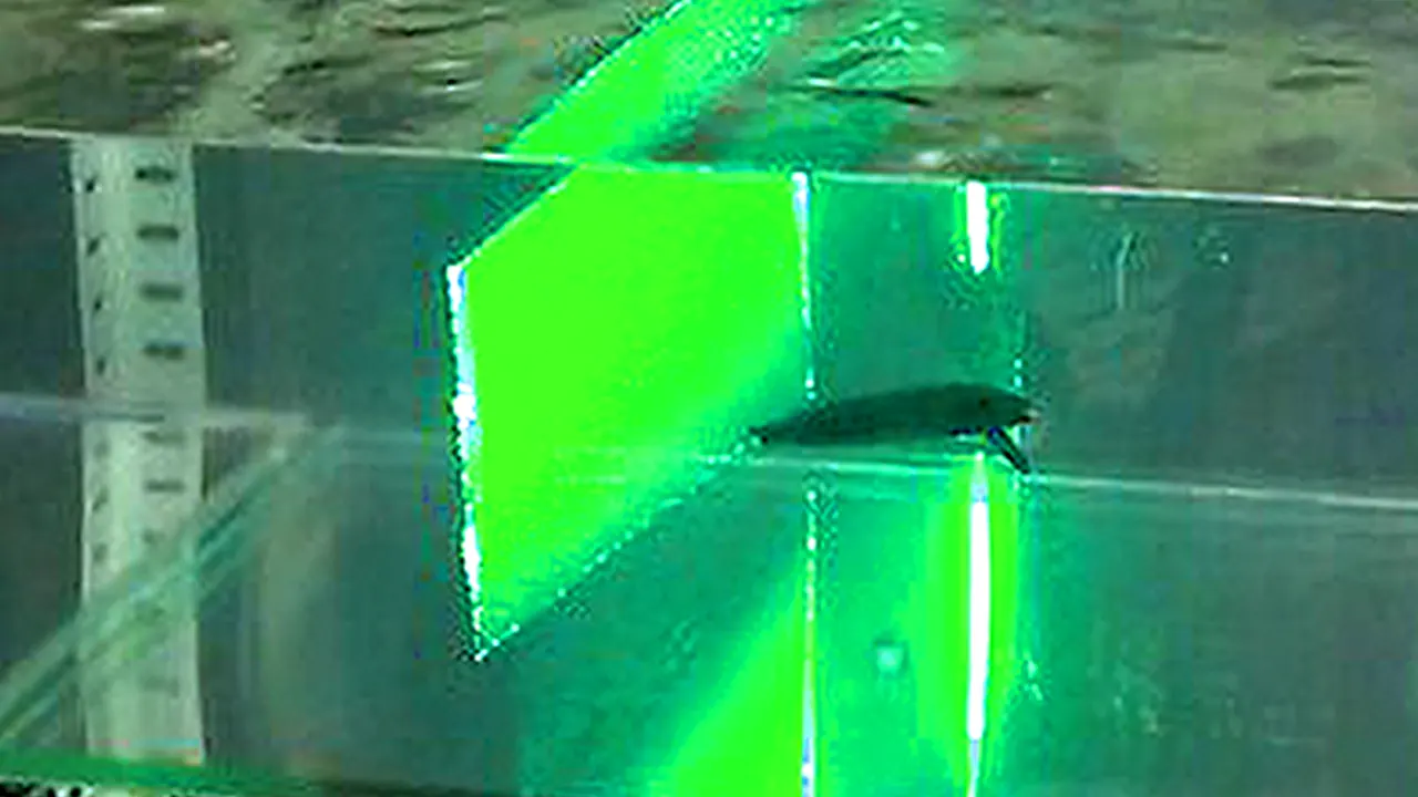 PIV_Laser_Fiber_Spectra_回流水槽