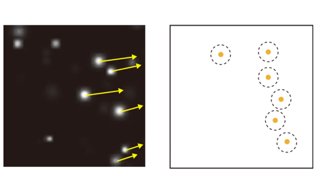 PTVの概要説明の粒子画像