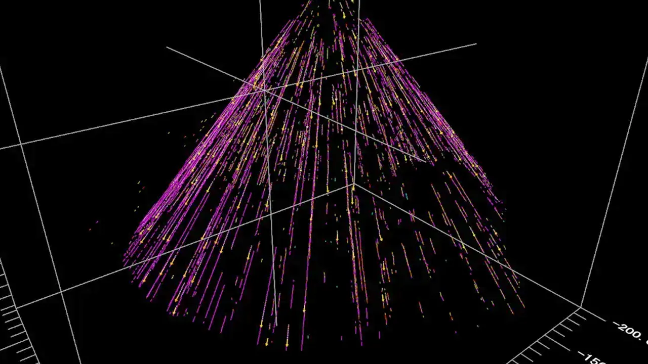 3DPTVソフト_FlowExpert3DPTV_ベクトル04