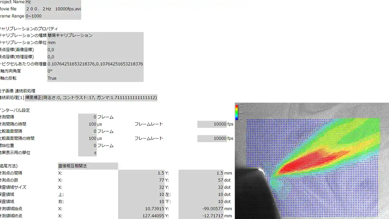Flow ExpertII2D2C_出力レポート