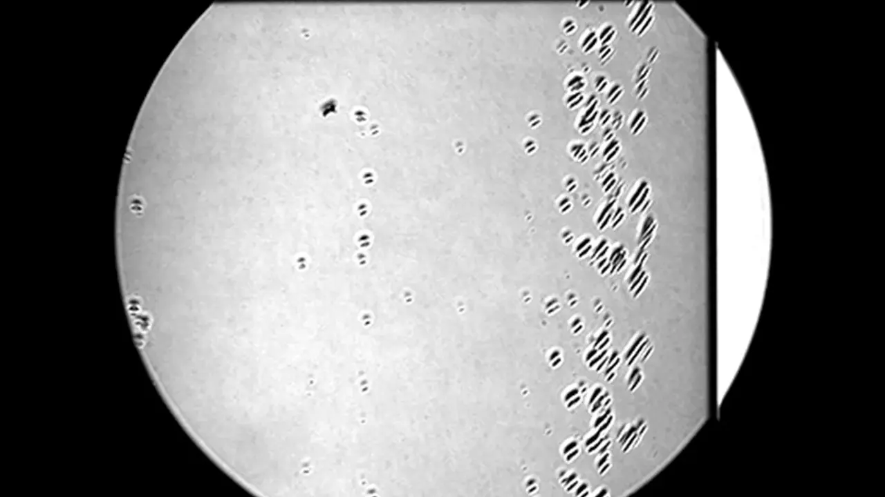 glass_striae_ガラス脈理検査_脈理_V01
