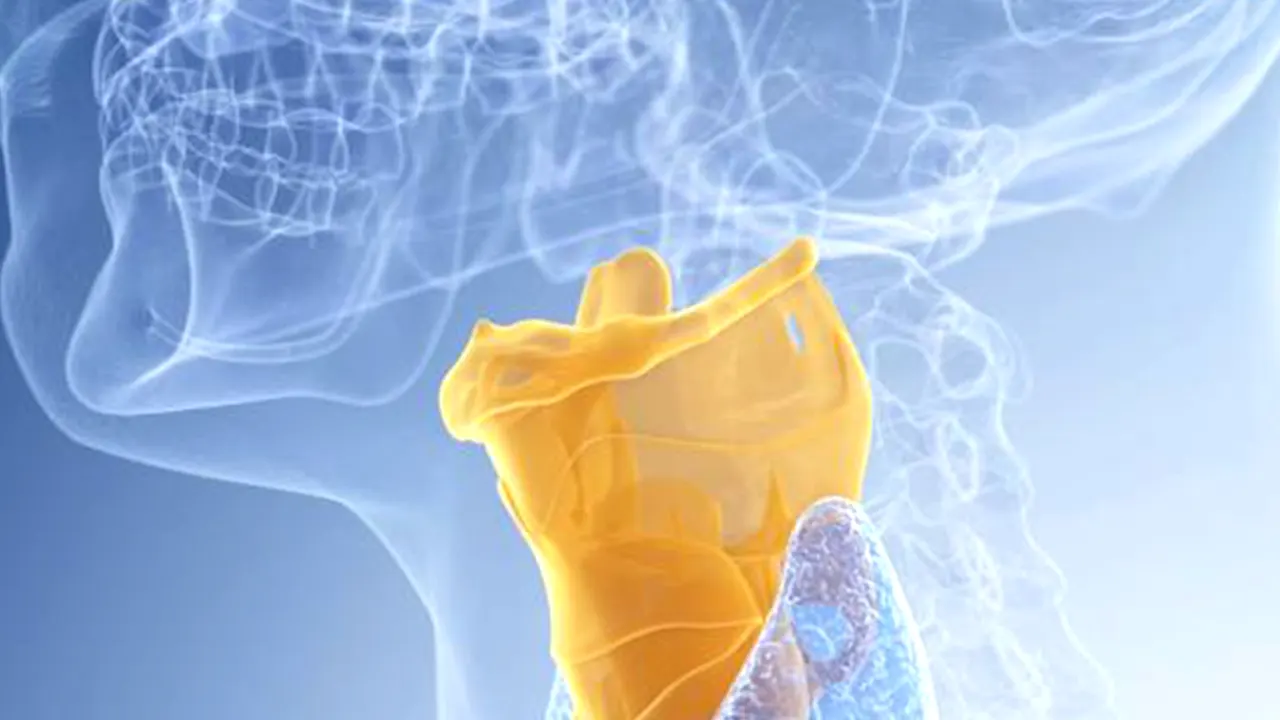 medical_visualization_運動解析_舌骨_イラスト_V01