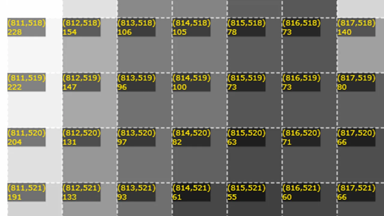 dic_DIC-2D_数値化された画素_V01