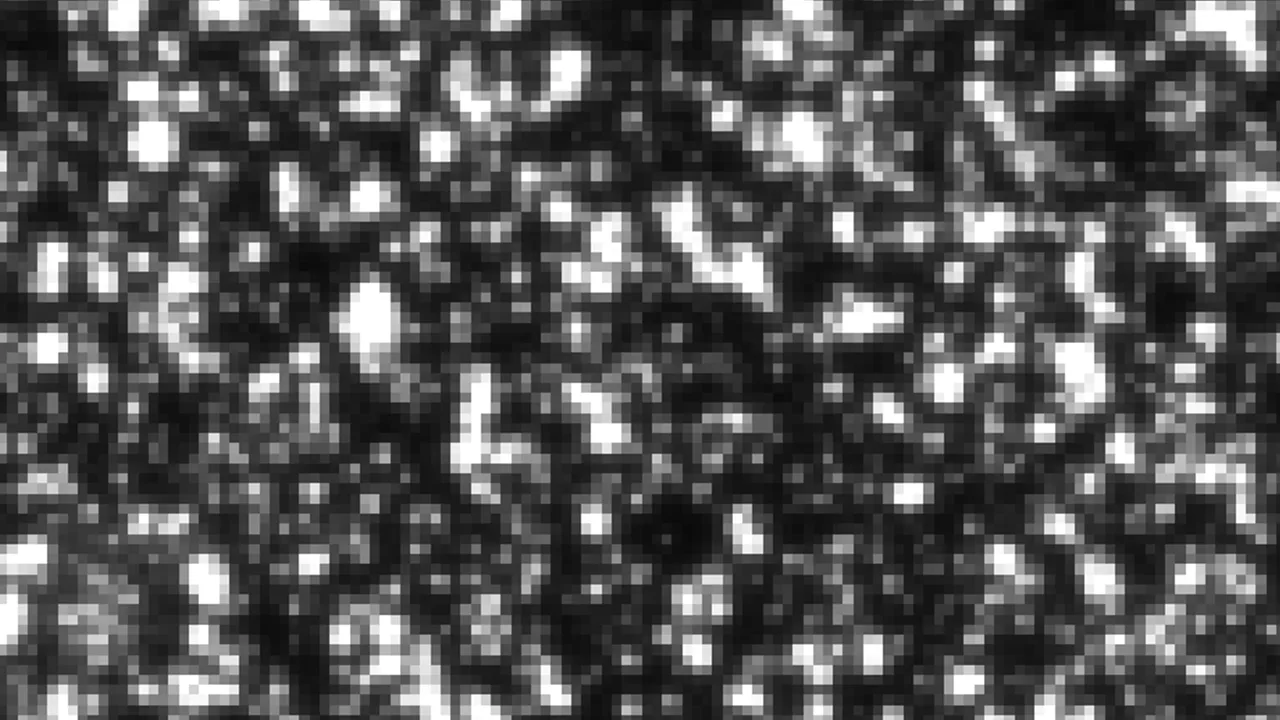 dic_DIC-2D_ランダムパターン_高解像度_V01