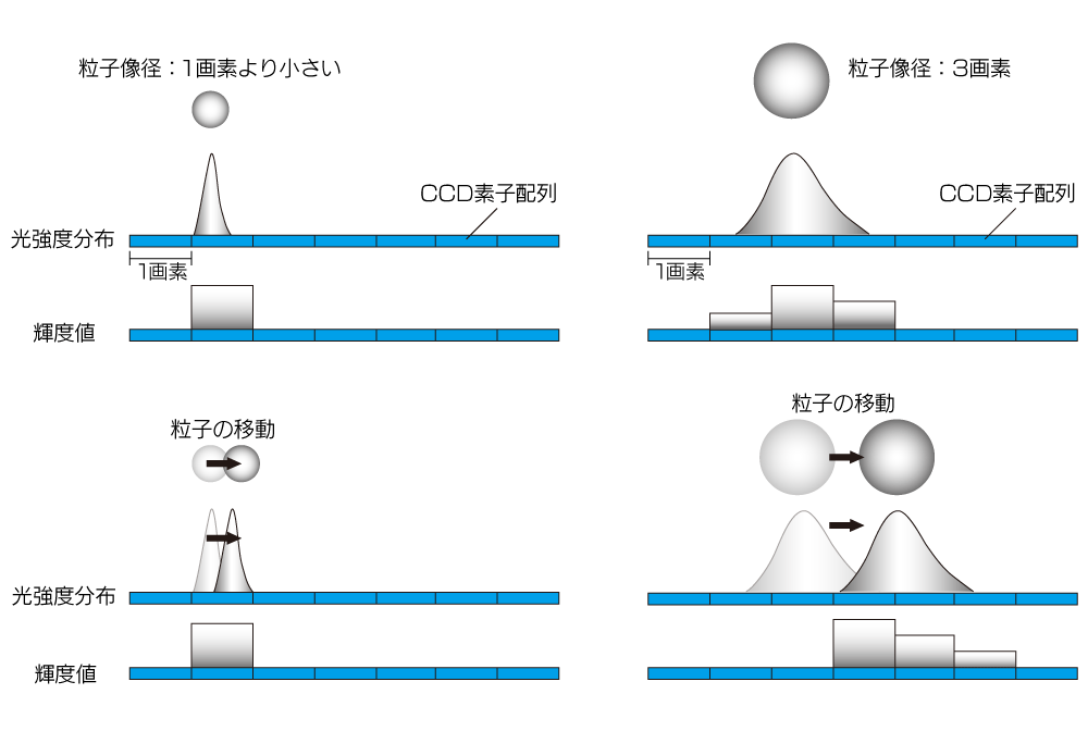 PIVの粒子移動量の算出誤差_ピークロッキングの説明図